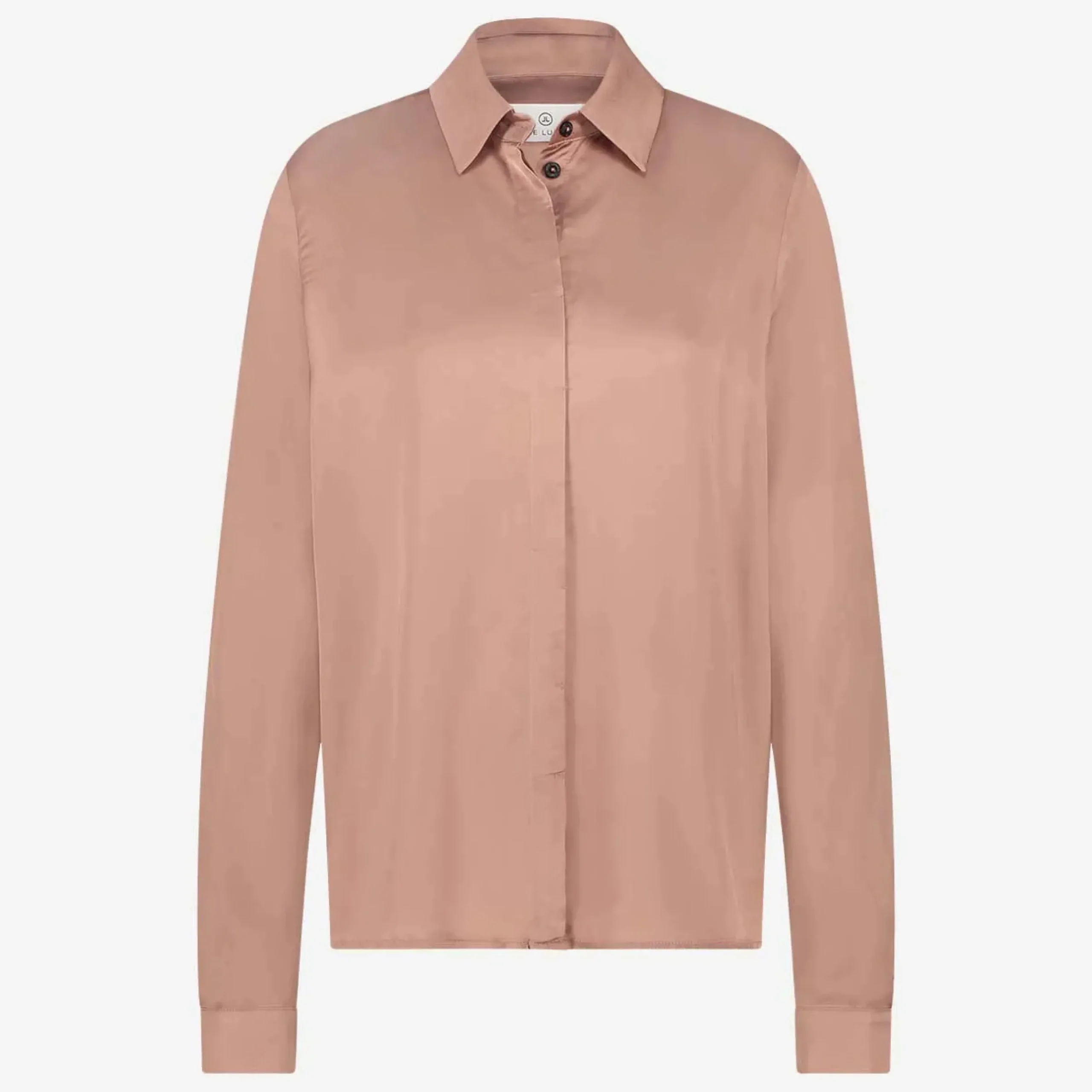 Dessi Blouse